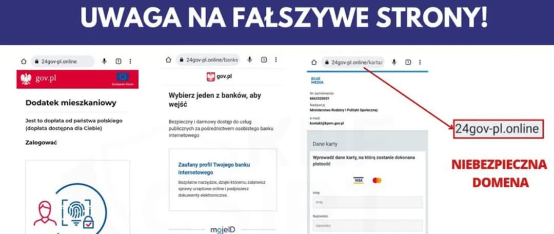Jak sprawdzić firmę w KNF i uniknąć oszustw finansowych