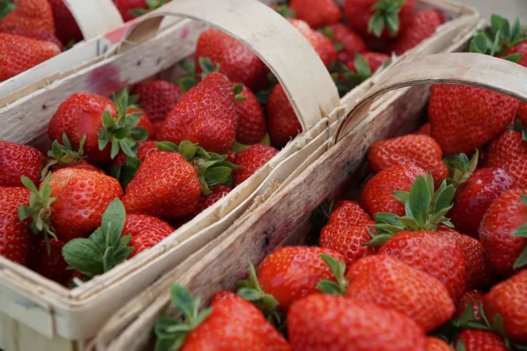 Ile można zarobić na truskawkach? Fakty, które mogą zaskoczyć