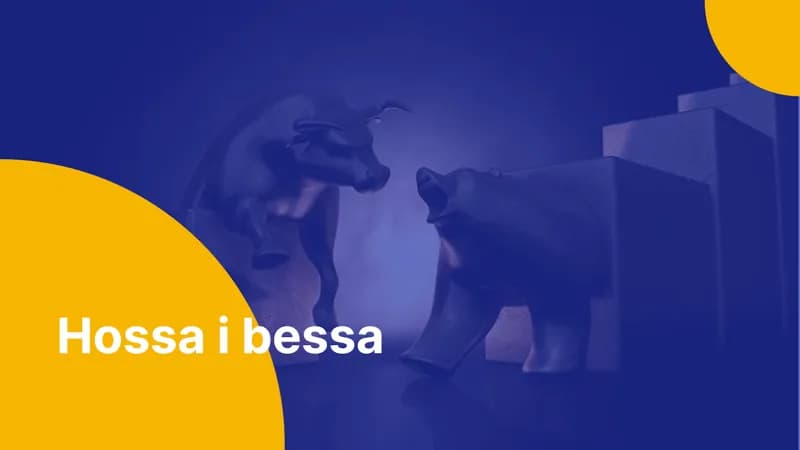 Hossa co to? Zrozumienie rynku byka i jego wpływ na inwestycje