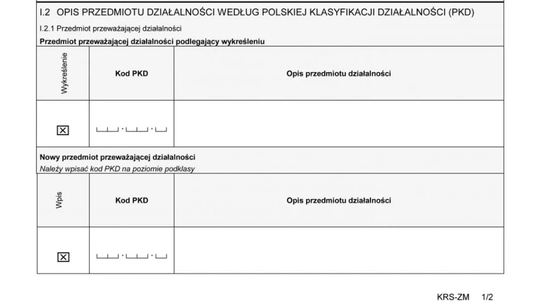 Ile PKD w KRS? Sprawdź, co grozi firmom z nadmiarem kodów