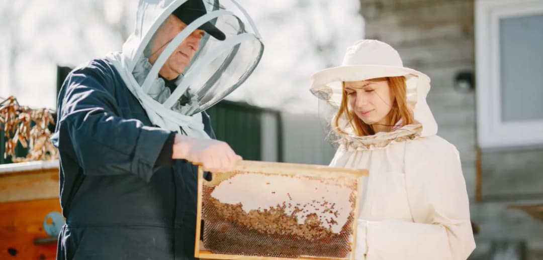 Ile można zarobić na pasiece? Sprawdź, co wpływa na zyski
